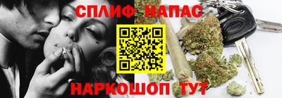 МДПВ Новодвинск