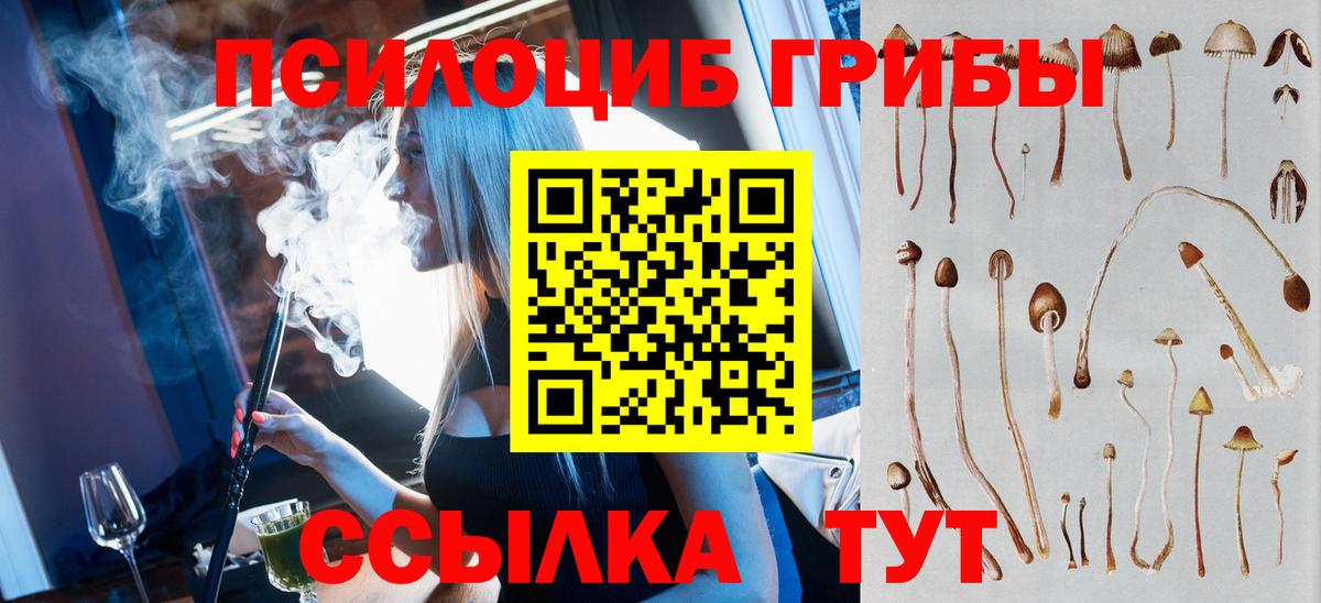 Галлюциногенные грибы Psilocybine cubensis Удомля