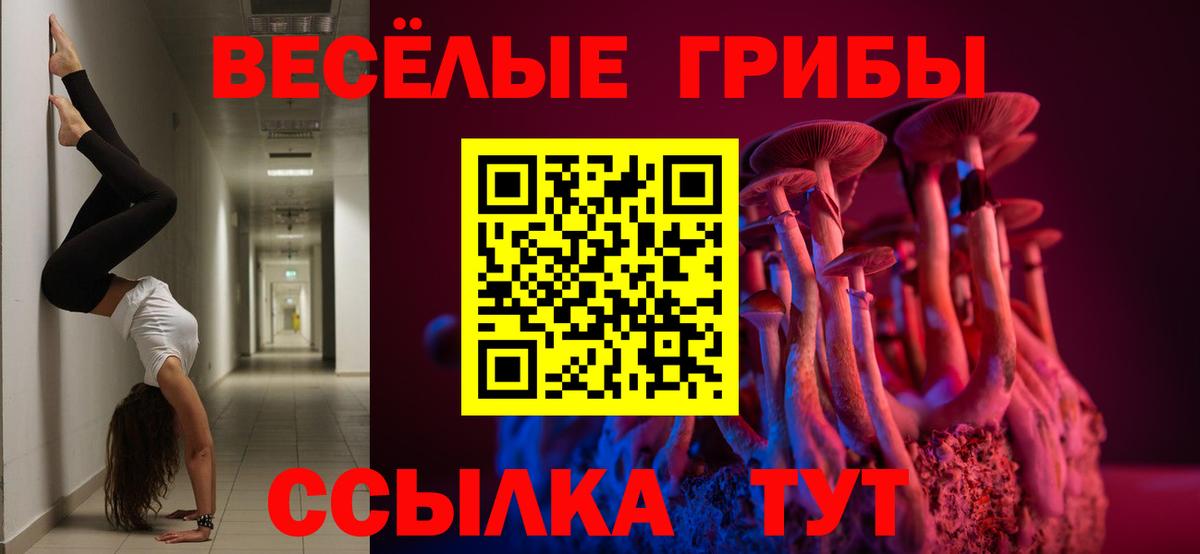 Галлюциногенные грибы Magic Shrooms  Вход с VPN  Псилоцибиновые грибы ЛСД  Удомля 